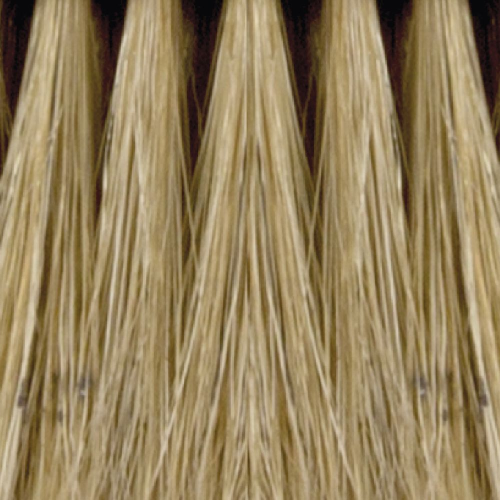 10455