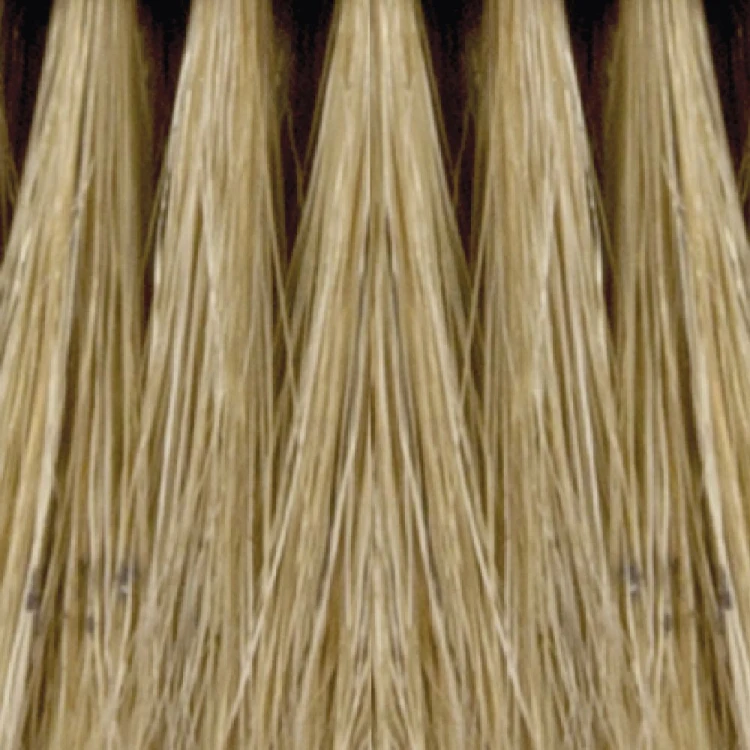 10455