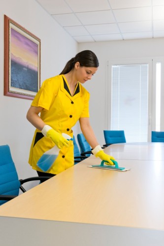 Packa ręczna TTS Clean Glass 30cm zielona – aranżacja